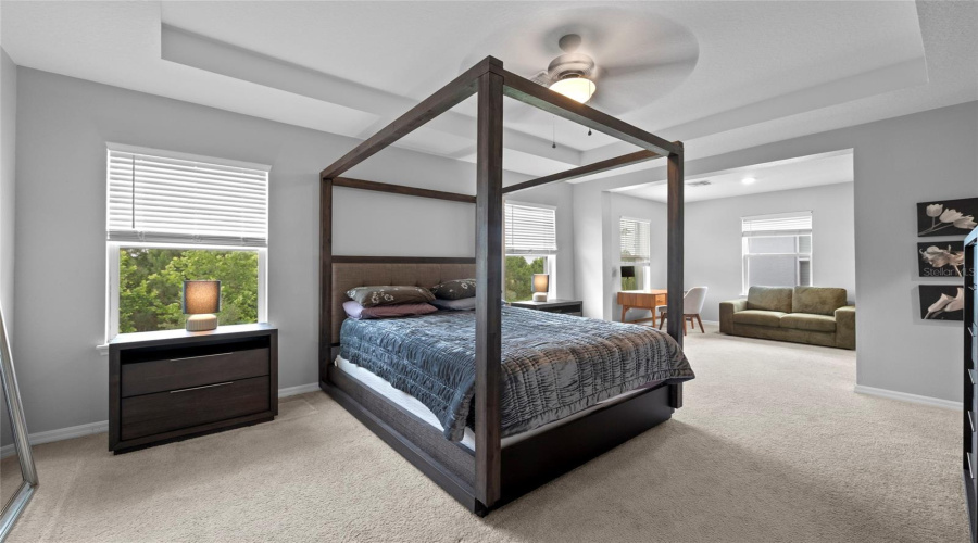 Primary Bedroom With Tray Ceilings