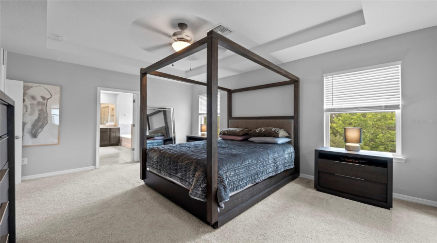 Primary Bedroom With Tray Ceilings