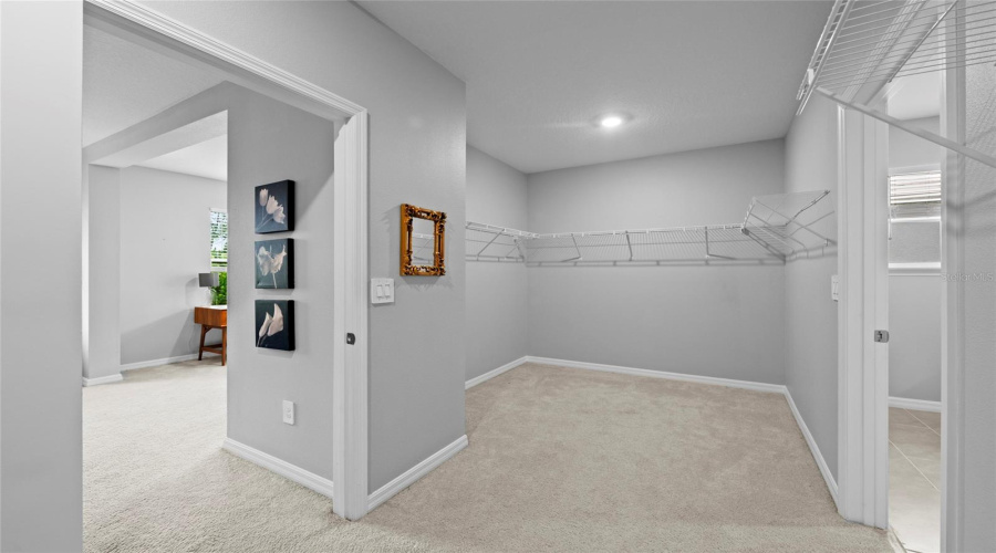 Primary Walk-In Closet