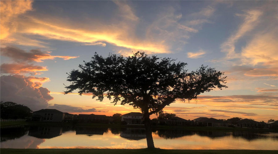 Port Orange, Florida 32128, 3 Bedroom Bedrooms, ,2 Bathroombathrooms,Residential,For Sale,Calistoga,0,Mfrns1088996