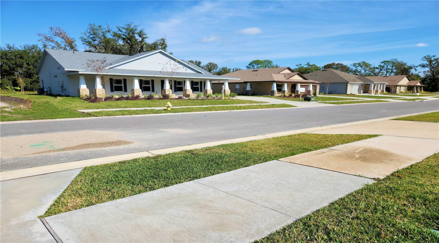 Gorgeous Neighborhood!
