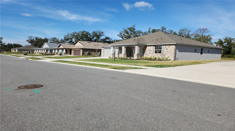 Gorgeous Neighborhood!