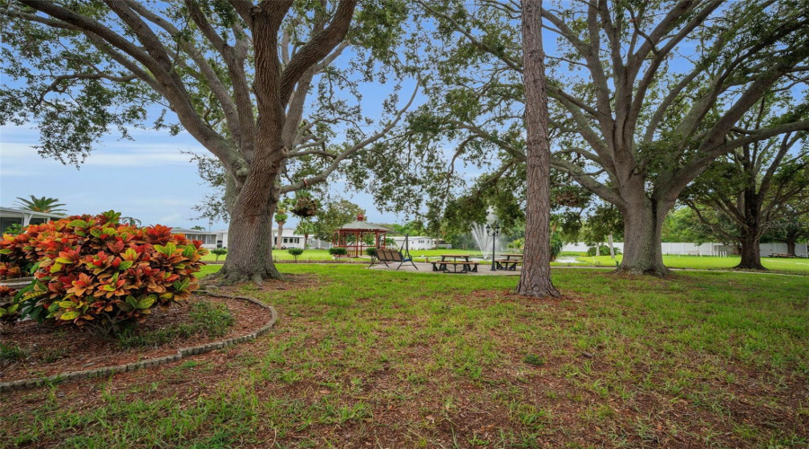 Largo, Florida 33773, 2 Bedroom Bedrooms, ,2 Bathroombathrooms,Residential,For Sale,Tahitian,0,Mfrtb8529171
