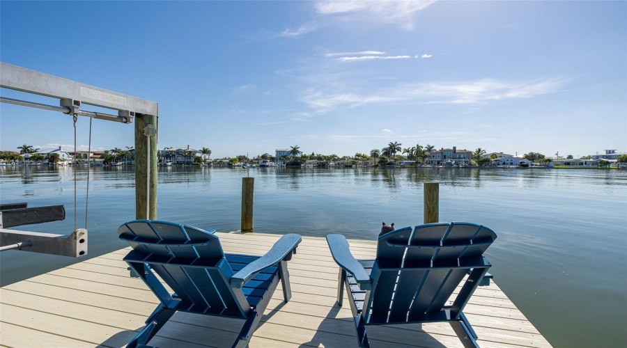 Enjoy Cocktails While Dolphin Watching