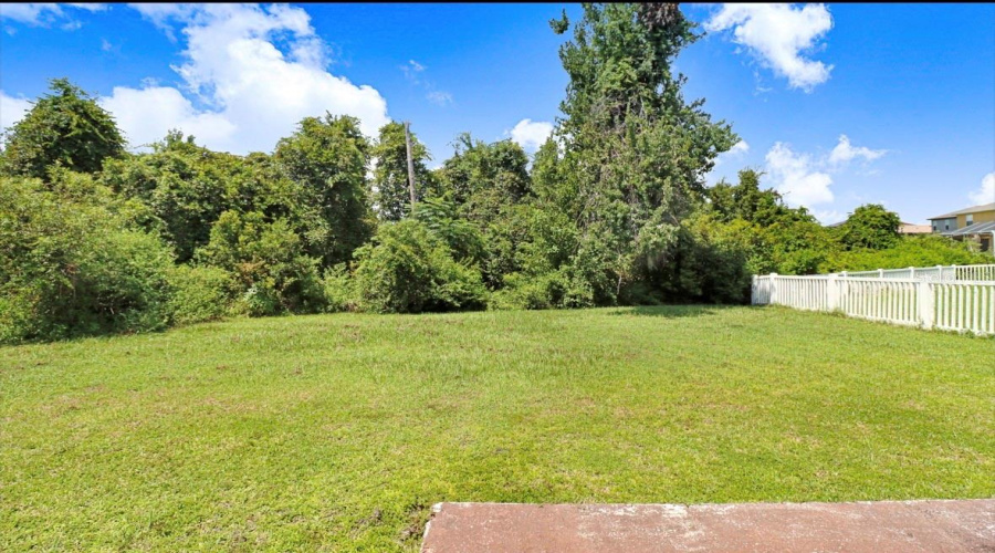 Backyard