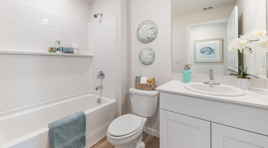 Model Home