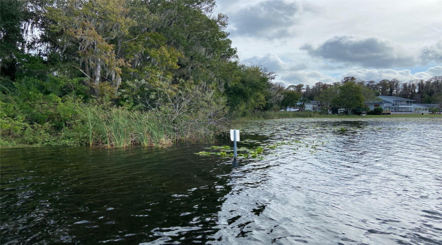 New Port Richey, Florida 34654, 3 Bedroom Bedrooms, ,2 Bathroombathrooms,Residential,For Sale,Purdue,0,Mfrw7871767