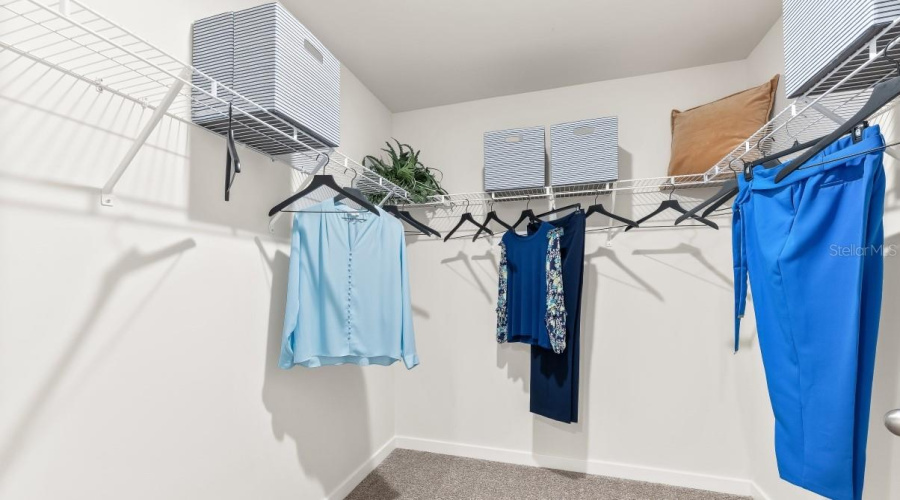 Model Home