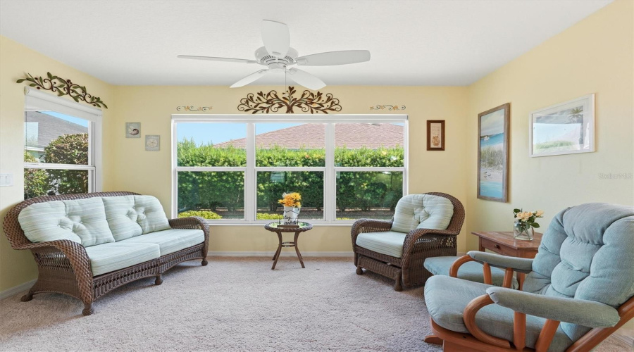 Private View - Neighbor Has Tall Bushes For Privacy.
