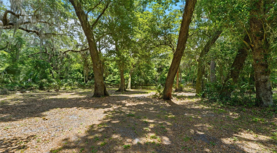 Geneva, Florida 32732, 5 Bedroom Bedrooms, ,3 Bathroombathrooms,Residential,For Sale,Jungle,0,Mfrv4949688