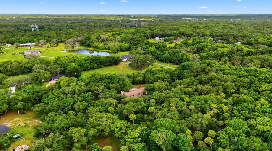 Geneva, Florida 32732, 5 Bedroom Bedrooms, ,3 Bathroombathrooms,Residential,For Sale,Jungle,0,Mfrv4949688