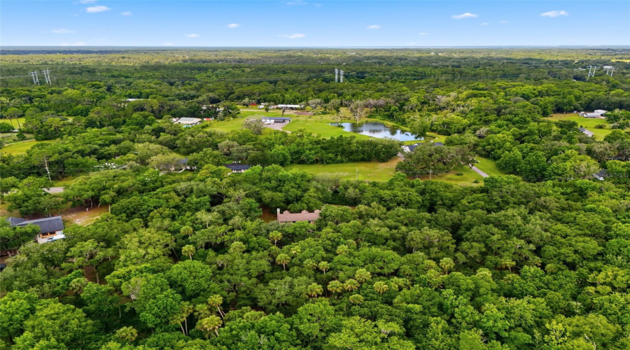 Geneva, Florida 32732, 5 Bedroom Bedrooms, ,3 Bathroombathrooms,Residential,For Sale,Jungle,0,Mfrv4949688