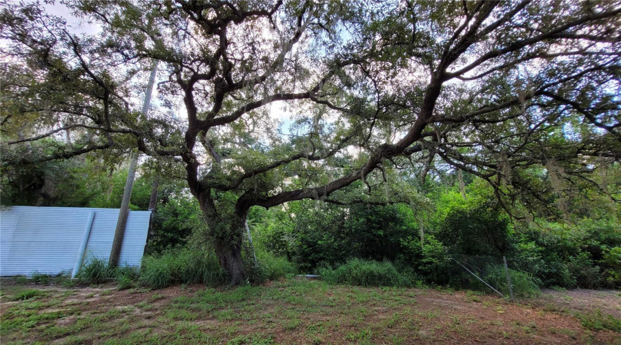 Lake Wales, Florida 33898, 2 Bedroom Bedrooms, ,1 Bathroombathrooms,Residential,For Sale,Laurel,0,Mfrp4939260