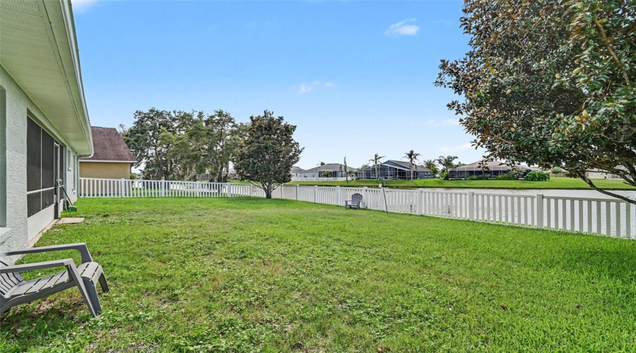 Back Yard