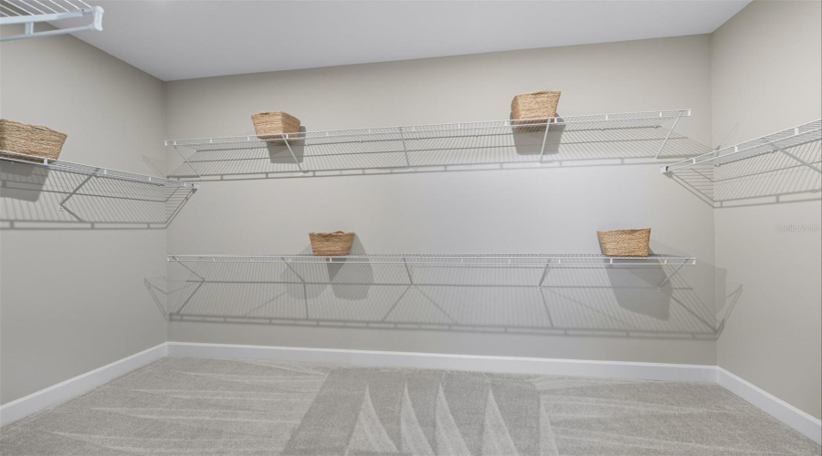 Waterbrooke Dahlia Model Primary Walk-In Closet