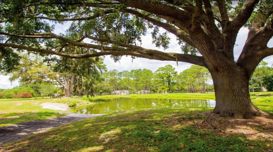 Creeks 19Th