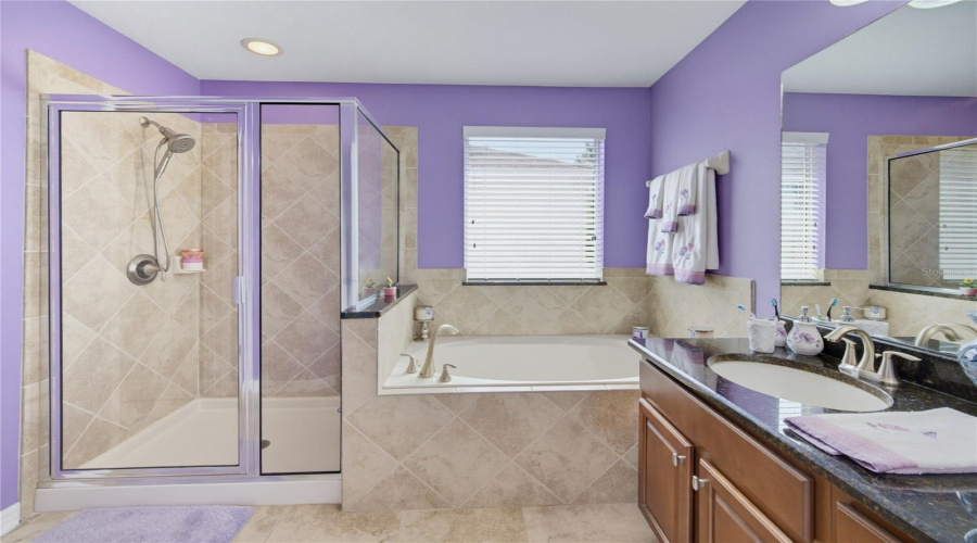 Primary Bathroom - View 1