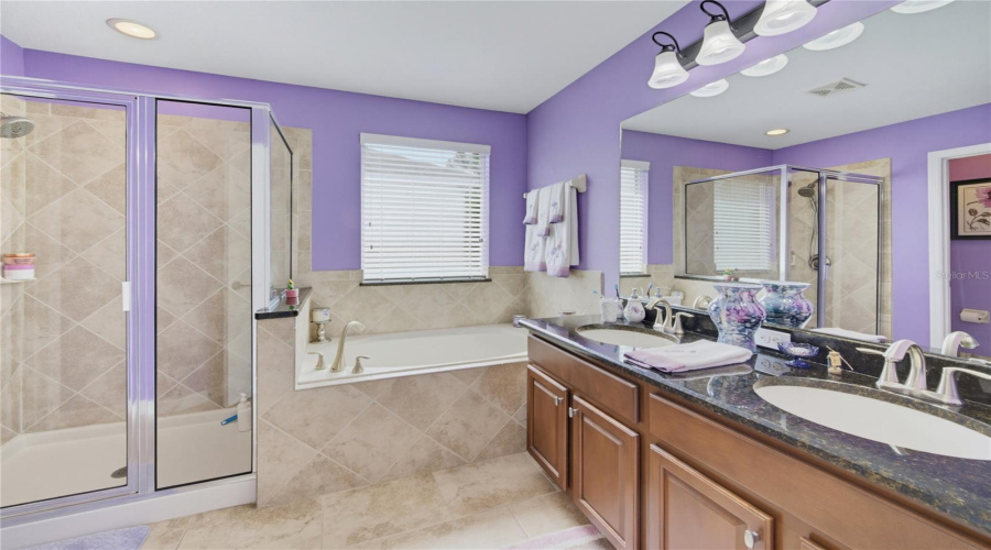 Primary Bathroom - View 2
