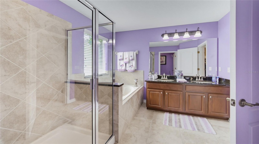 Primary Bathroom - View  3