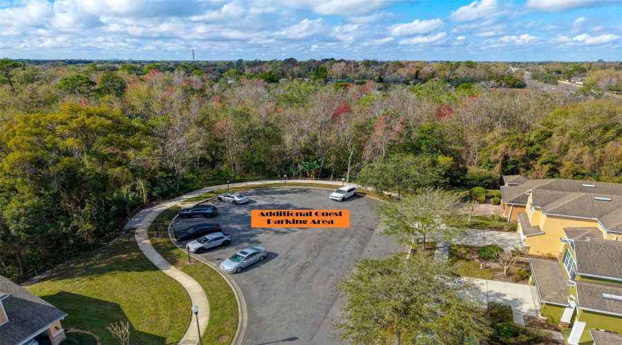 Drone - Guest Parking