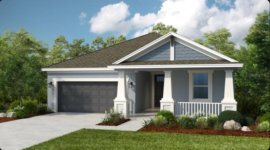 Aruba Rendering