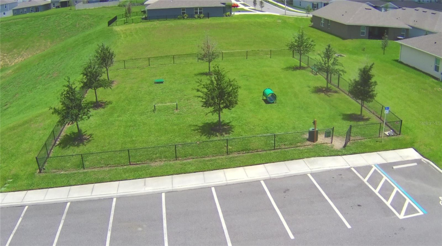 Dog Park