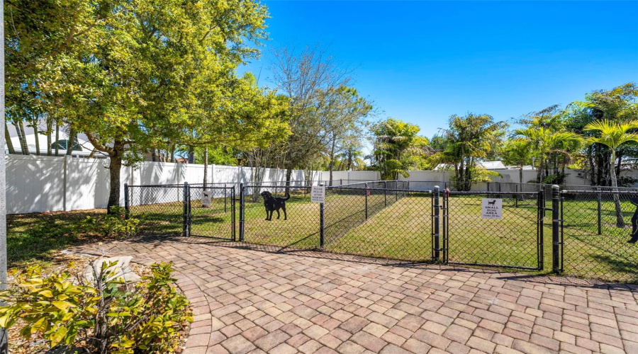 Community Dog Park