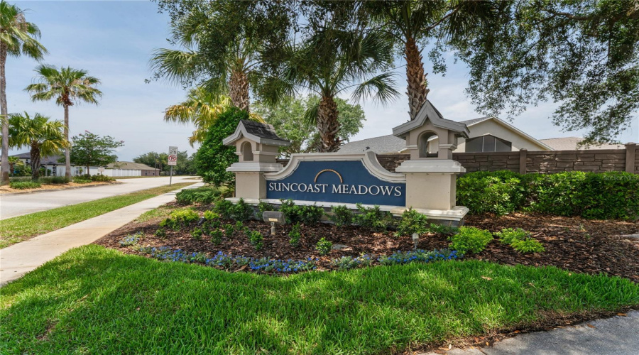 Land O Lakes, Florida 34638, 4 Bedroom Bedrooms, ,2 Bathroombathrooms,Residential,For Sale,Cardinal Feather,0,Mfrtb8507083