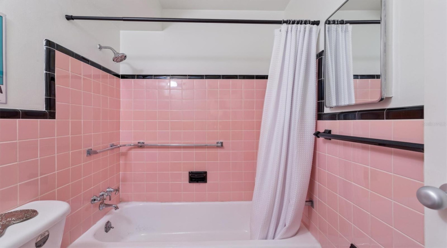 St Petersburg, Florida 33701, 1 Bedroom Bedrooms, ,1 Bathroombathrooms,Residential,For Sale,4Th,0,Mfrtb8450640