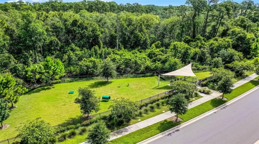 Northlake At Ovation Amenities