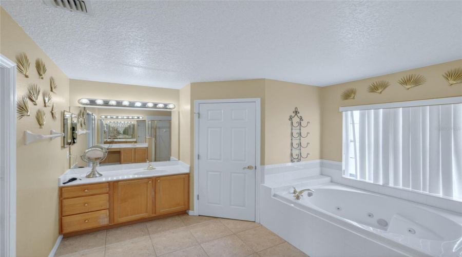 Primary Bath Pic 2