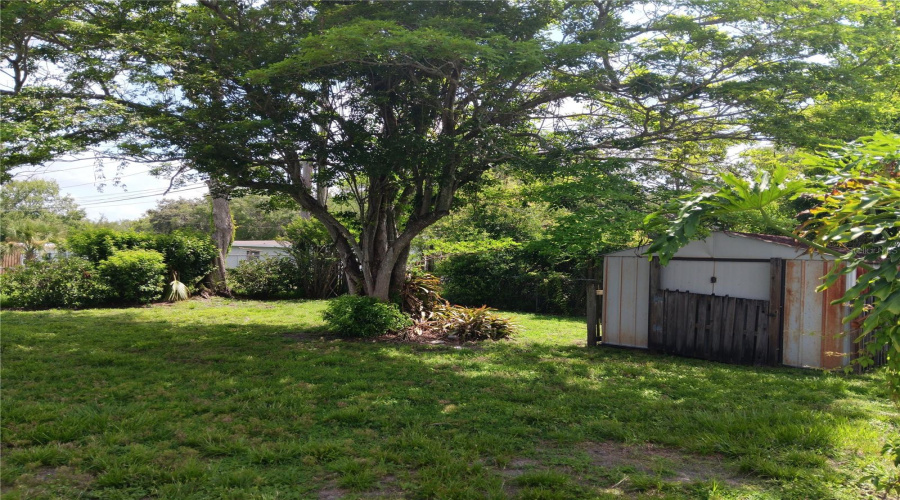 Backyard With Shed