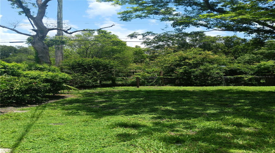Left Side Of Backyard