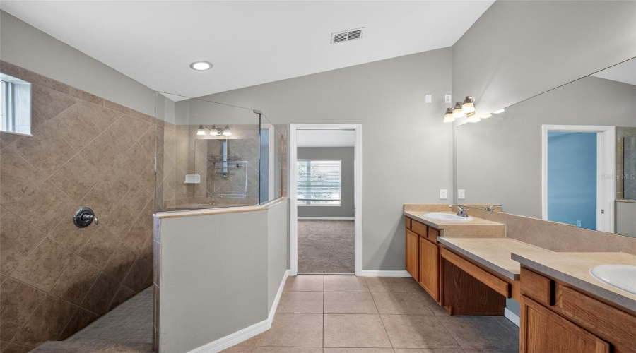 Tampa, Florida 33647, 5 Bedroom Bedrooms, ,3 Bathroombathrooms,Residential,For Sale,Ancient Futures,0,Mfrtb8522835