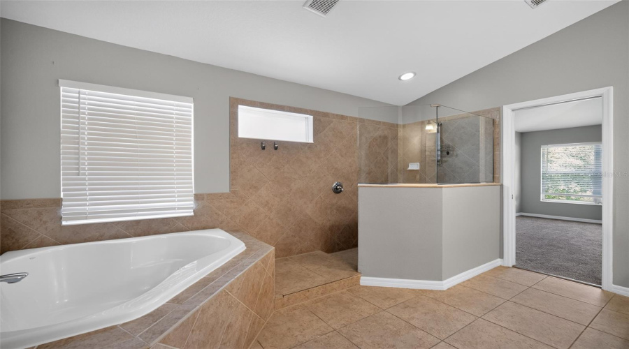Tampa, Florida 33647, 5 Bedroom Bedrooms, ,3 Bathroombathrooms,Residential,For Sale,Ancient Futures,0,Mfrtb8522835