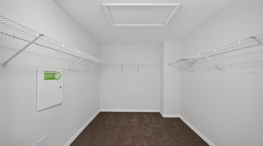 Tampa, Florida 33647, 5 Bedroom Bedrooms, ,3 Bathroombathrooms,Residential,For Sale,Ancient Futures,0,Mfrtb8522835