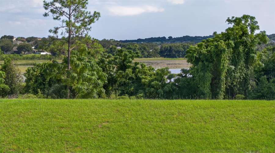Clermont, Florida 34715, 3 Bedroom Bedrooms, ,3 Bathroombathrooms,Residential,For Sale,Braewood,0,Mfrg5116348