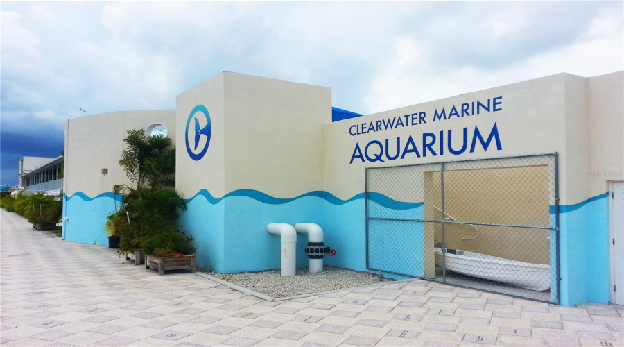 Clearwater Aquarium