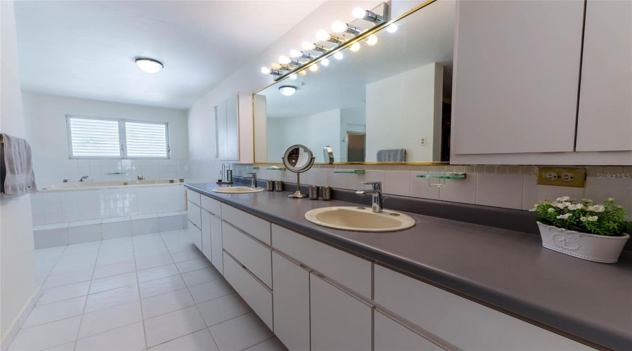 Master Bedroom Bathroom