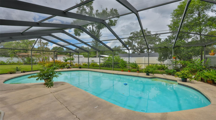 Pool With New Cage