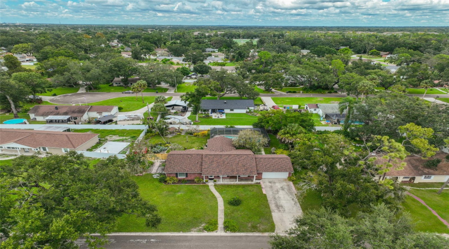 Drone View