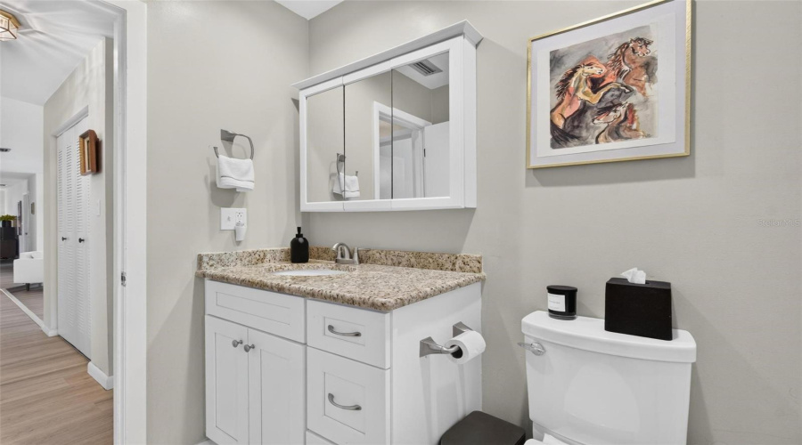 Guest Bath