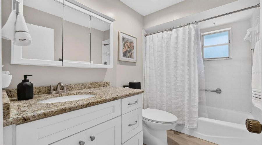 Guest Bath