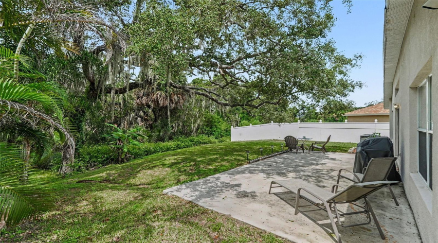 Riverview, Florida 33578, 3 Bedroom Bedrooms, ,2 Bathroombathrooms,Residential,For Sale,Early Run,0,Mfrtb8541848
