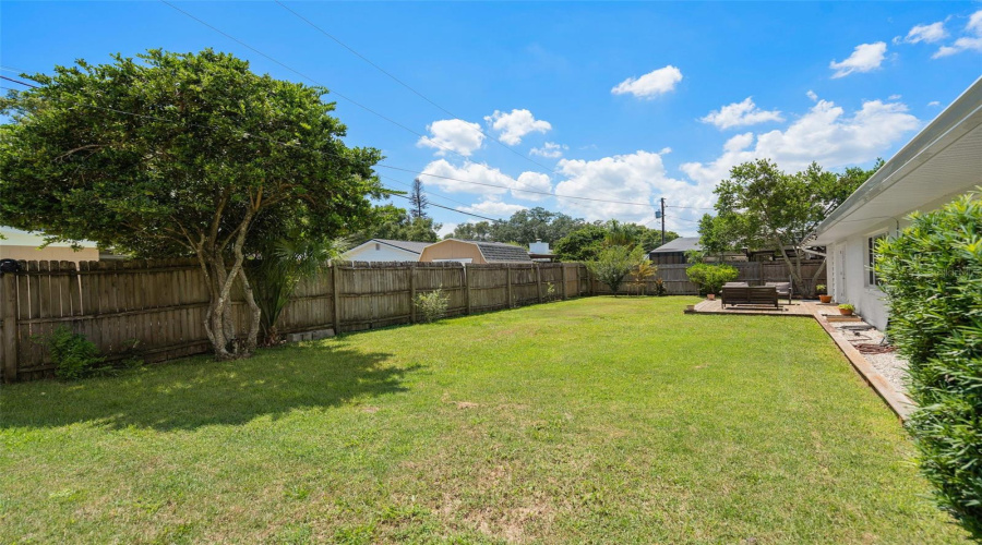 Backyard