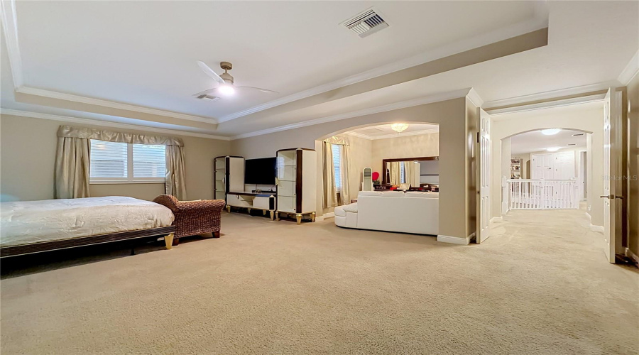 Double Door Entry To Primary Suite (24 X 16), Tray Ceiling, Plantation Shutters, Flex Space And Ensuite Bath.