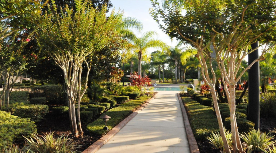 Pathway To Community Pool