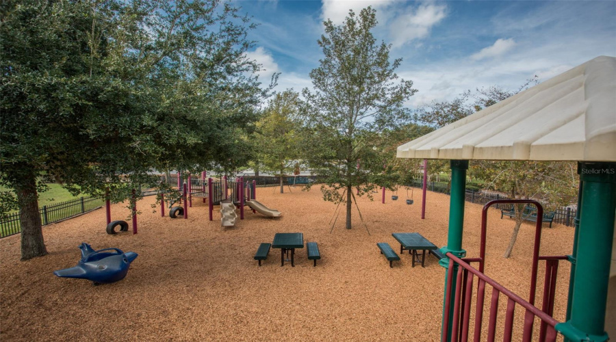 Play Area