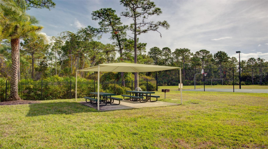 Coverer Pavilion, Grill And Basketball Court