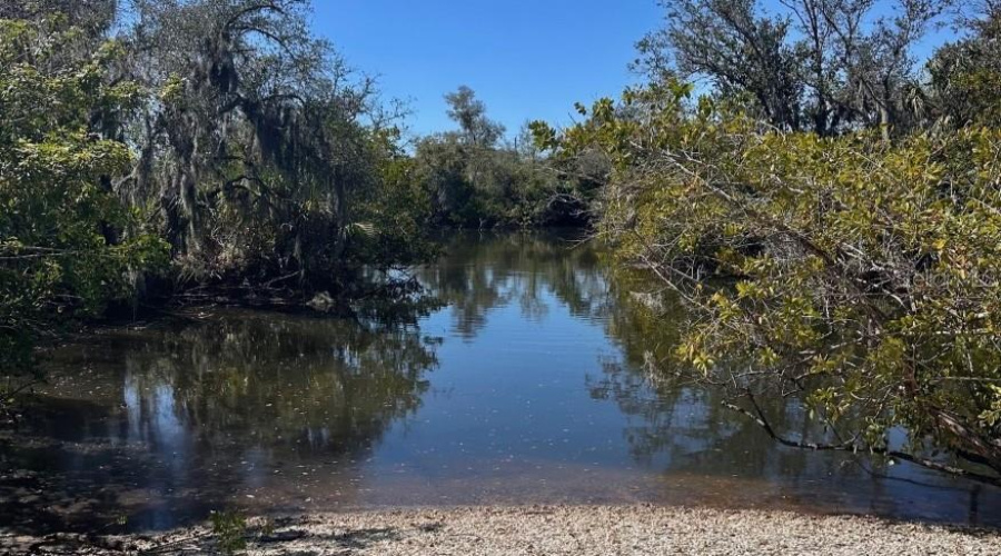 Punta Gorda, Florida 33950, 3 Bedroom Bedrooms, ,2 Bathroombathrooms,Residential,For Sale,Turtle Grass,0,Mfrc7528416